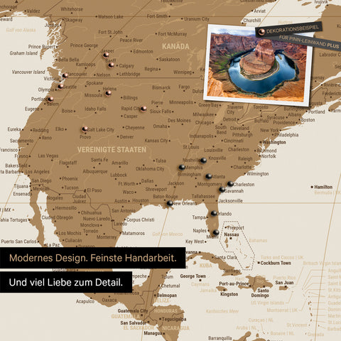 Weltkarte in der Equal-Earth-Projektion als Pinnwand in der Farbe Bronze, auf der Reiseziele in den USA und Kanada mit Pins markiert sind