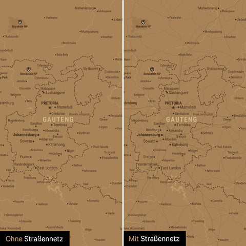 Sydafrikakort TRAVEL® Canvas med nåle – Bronze