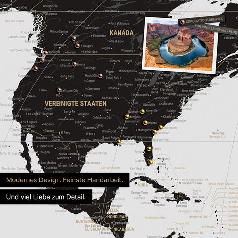 Weltkarte in der Equal-Earth-Projektion als Pinnwand in der Farbe  Light Black (Schwarz-Weiss), auf der Reiseziele in den USA und Kanada mit Pins markiert sind