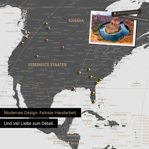 Weltkarte in der Equal-Earth-Projektion als Pinnwand in der Farbe  Light Gray, auf der Reiseziele in den USA und Kanada mit Pins markiert sind